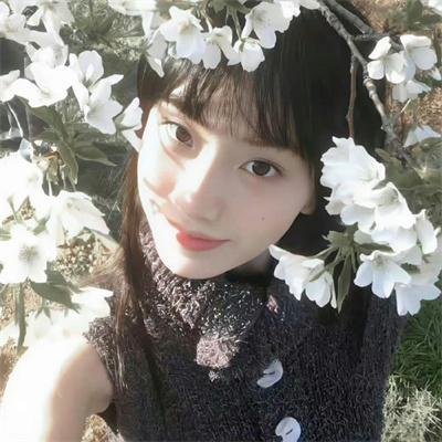进阶的主母海报
